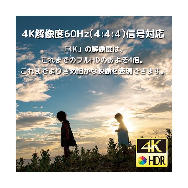 ラトックシステム 4K60Hz対応 外部音声出力付 4入力2出力 HDMIマトリックス切替器 RS-HDSW42A-4KZ 1個（直送品） - アスクル