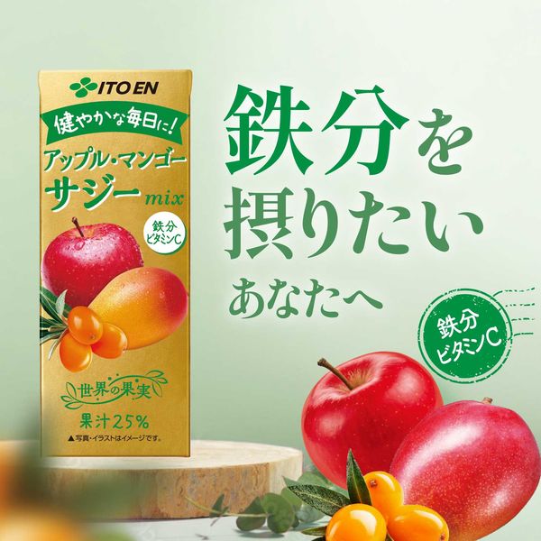 宮崎マンゴー (4L×2玉/約1020g) 宮崎産 赤秀〜青秀 完熟マンゴー