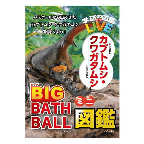 ノルコーポレーション 学研の図鑑ライブ カブトムシ・クワガタ ビッグ バスボール さわやかな空の香り GKN-8-01 1個（直送品） - アスクル