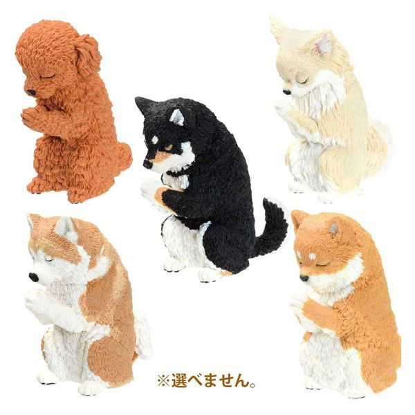 エール フィギュア 合掌 匠 犬拝 BOX 4589469846207 1個(直送品 エール フィギュア 合掌 匠 犬拝 BOX 4589469846207 1個(直送品