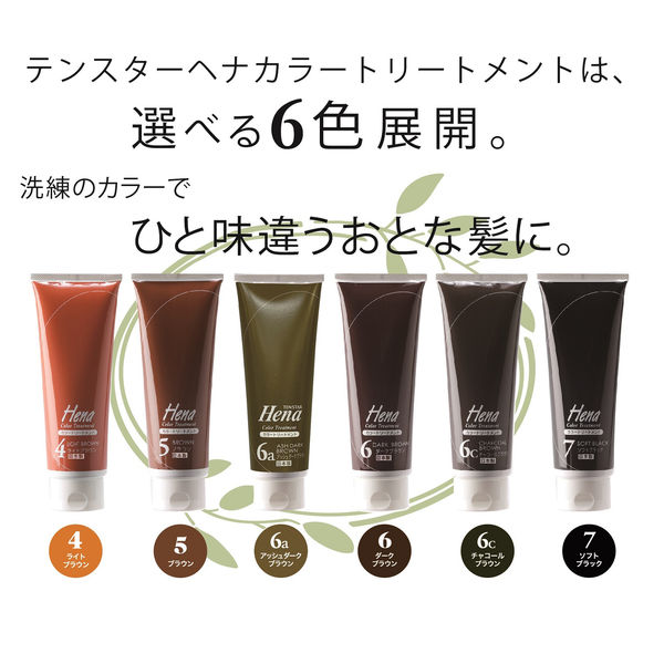 テンスター ヘナ カラートリートメント6c チャコールブラウン 10本 テンスター カラートリートメント チャコールブラウン (6c) 250g