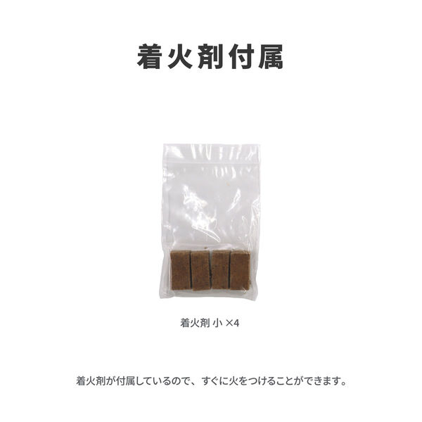 ラプラス スウェーデントーチ ENZINE X OBF-002 1個（直送品