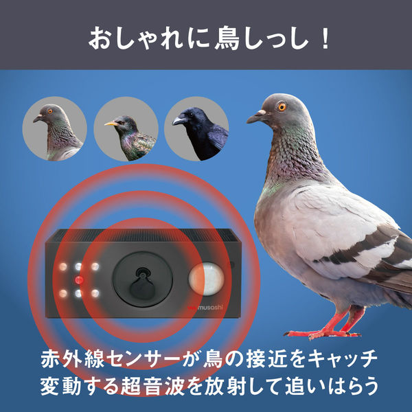 ムサコジ LiS-1175用 木工用ブレード（LiS-81） センサーライト｜高枝切鋏