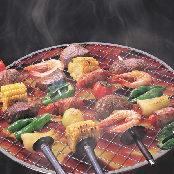 きんだい 焼き網 丸平型 24.5cm 1セット（4枚：2枚入×2袋