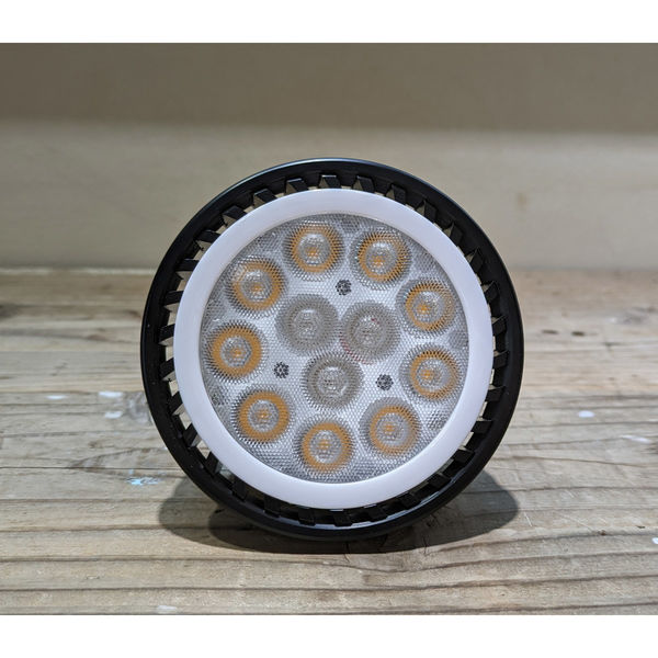 高島屋植物園 Plants NEXLIGHT PAR30 BLACK 電球色 NL-PAR303