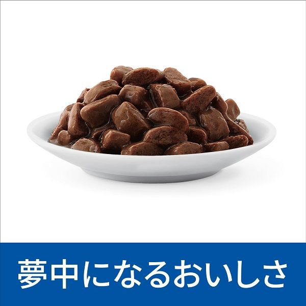 ヒルズ プリスクリプション k/d 腎臓ケア 85g×48個 グレイビー