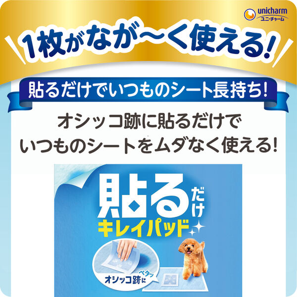 貼るだけ デオシート キレイパッド Sサイズ 80枚 ペタッと貼るだけ 1
