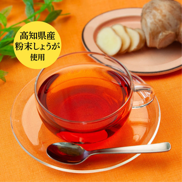 名糖産業 しょうが紅茶 1箱（16本入） インスタント紅茶 高知県