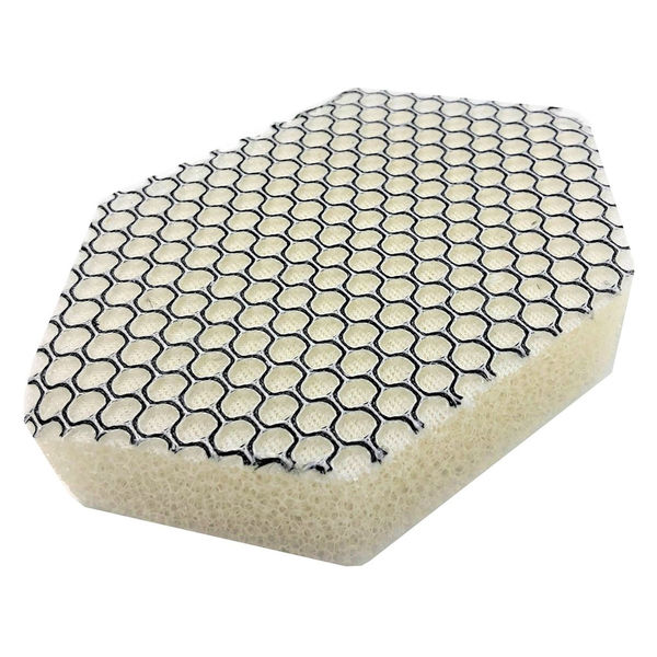 【５月購入】【洗浄スポンジ付】1000mlライフエッセンス２本組 k-mori_4901105217125