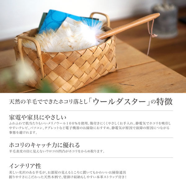 Amazon｜ダストダスター 静電塵埃の塵の鶏の羽根塵は家庭用