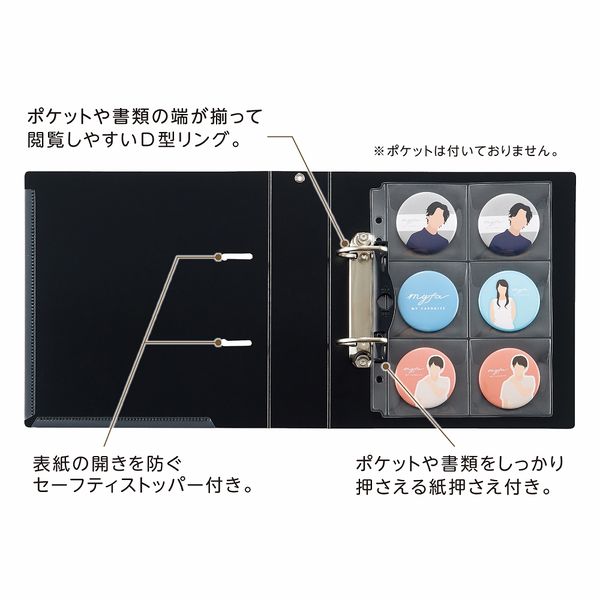 ポケモンカードゲーム コレクションファイル イーブイズ