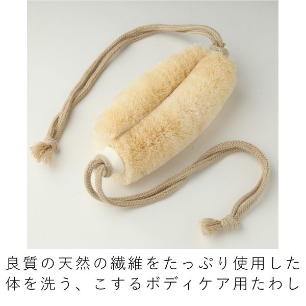 WASABI☆商品 Wasabi sesame - 日本橋 八木長本店