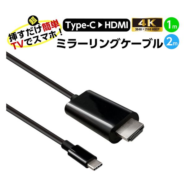 エアージェイ ミラーリングケーブルHDMI to Type-C 60Hz 1m AHD-C1M 1本（直送品） - アスクル