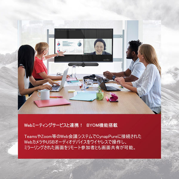 Cynap Pure 102034-02 1個 wolfvision（直送品） - アスクル
