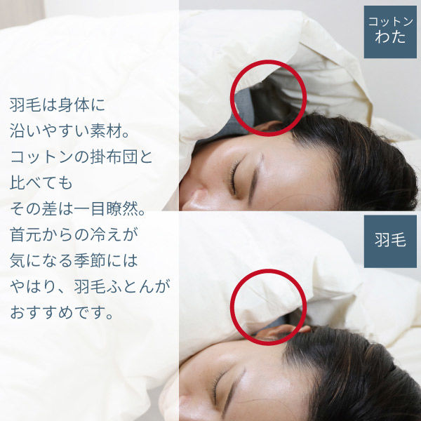 ハート オーガニック羽毛掛ふとん ダブル(ホワイトダック) 6148 1枚 