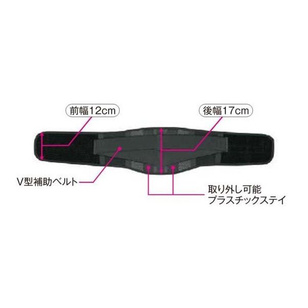 アシスト スレンダーガードメッシュ ブラック 4L 07040 1本 68