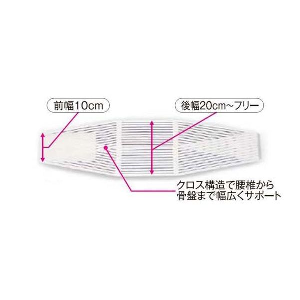 海外並行輸入正規品 クロスベルト・メッシュ アシスト M 68-4058-23（直送 1本 00095 サポーター