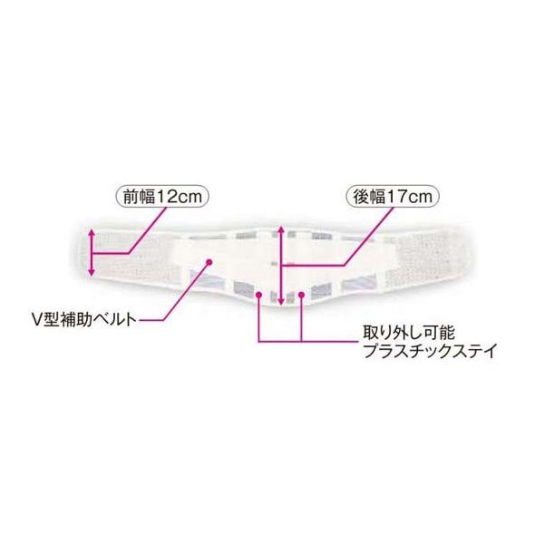 アシスト 腰部固定帯 スレンダーガード・メッシュ (中幅タイプ中