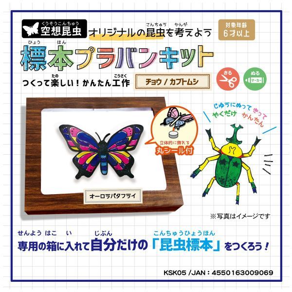 アウトレット】【Goエシカル】空想標本プラバンキット KSK05 1