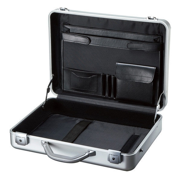 サンワサプライ PCアルミケース BAG-AL4N2（直送品） - アスクル