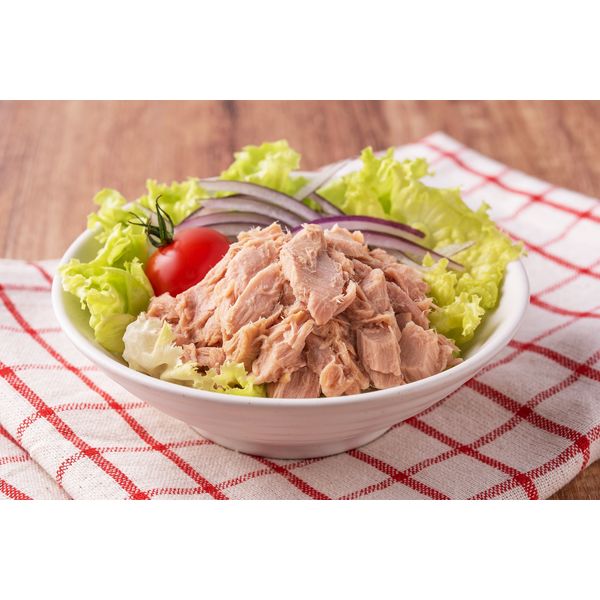 ツナ缶 美味しいツナ食塩不使用水煮フレーク 1セット（48缶：4缶