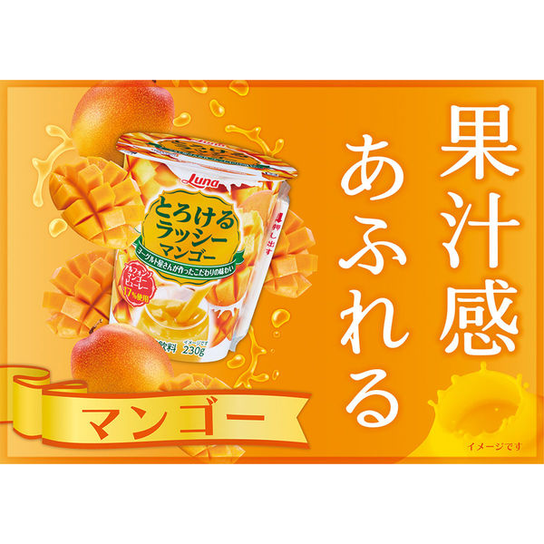 日本ルナ [冷蔵] とろけるラッシー マンゴー 230g×12本