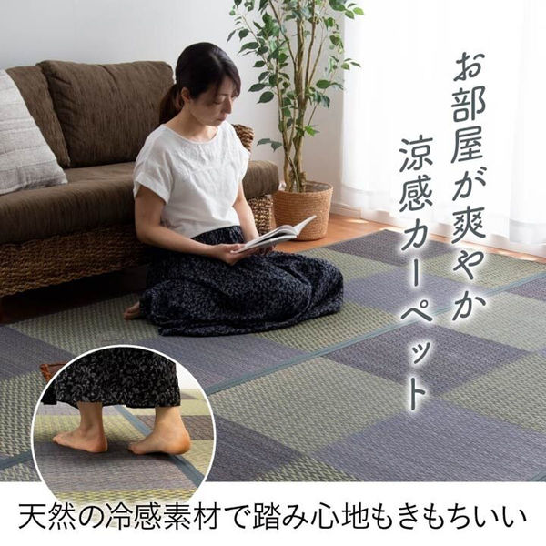 イケヒコ DXピーア い草ラグ 花ござ カーペット ラグ 格子柄 イケヒコ DXピーア い草ラグ 花ござ カーペット ラグ 格子柄