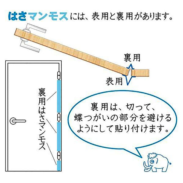 指挟み防止】ヨウソロ はさマンモスZ（賃貸住宅向け） 60cm 表裏