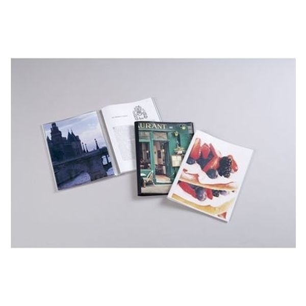 セキセイ パックンプレゼンホルダー高透明A4 20ポケット クリア PKP