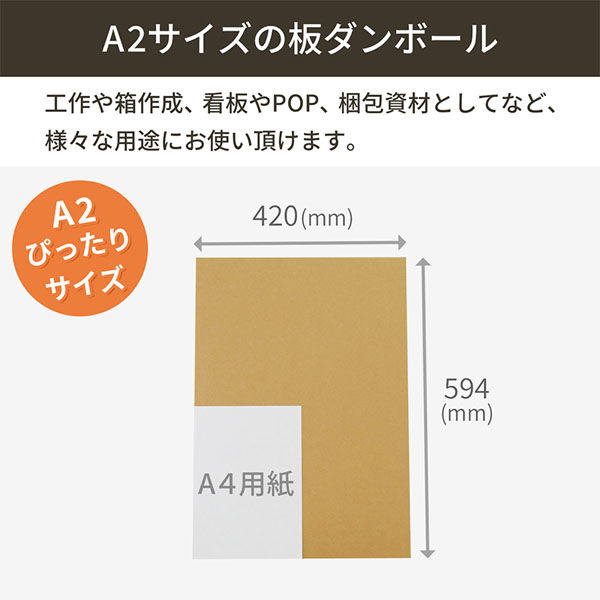 標本箱A2サイズ2セット シモジマ 板ダンボール A2 594×420mm FB20-0040-AS 1セット(40枚入