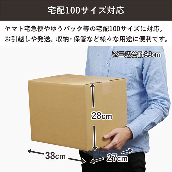 シモジマ 100サイズダンボール 38×27×28cm 4571689031860 1セット（3枚