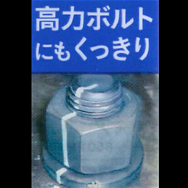 アークランズ WIZ'A 激強ペン先マーカー 中字 レッド WZPMーRE 1