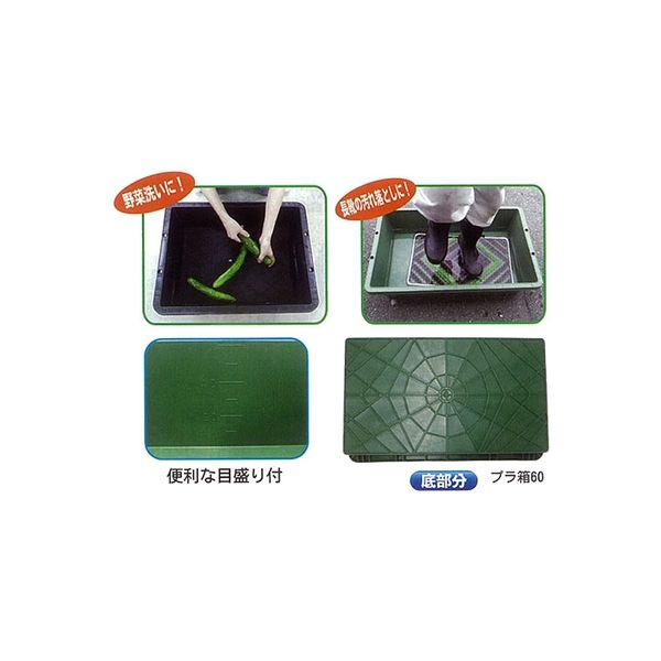 ムツゴ　標本箱A2サイズ黒2セット ギフトボックス）コフレ 貼箱横長 ブラック/60枚入（EE-383