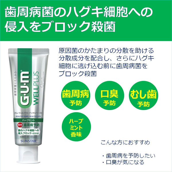 薬用GUM ガム ウェルプラス デンタルペースト ハーブミント 145g 4本