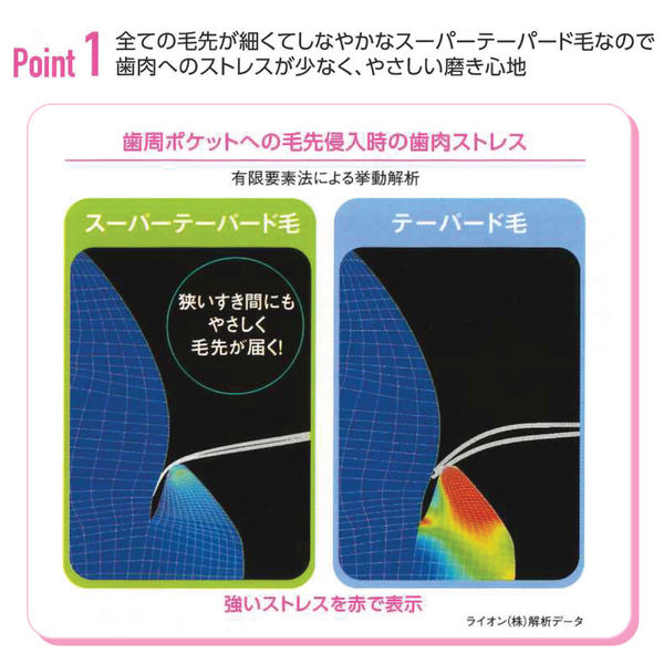 歯科医院取扱品 DENT.EX systema（デントシステマ） 44M