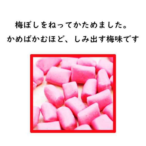 ノーベル製菓 ねりり梅ねり 4902124021144 20G×20個（直送品）