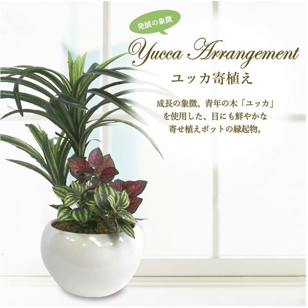 光触媒　人工観葉植物　ウォールグリーン　フェイクグリーン　スタンドユッカ1.35 人工 観葉植物 フェイク グリーン ユッカポット H約120cm 店舗