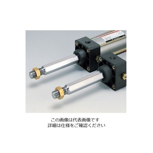 TAIYO（タイヨー） 空気圧シリンダ 10A-6SD63B100 1個（直送品