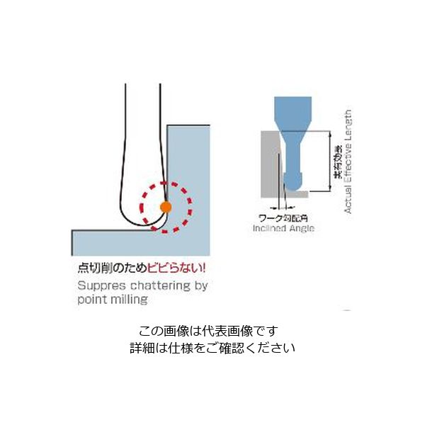 無限コーティングプレミアム 高硬度用2枚刃ロングネックボール