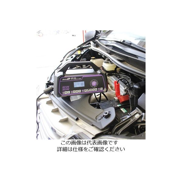 エスコ AC100V/4ー176Ah 自動パルス充電器 EA815YA-44 1台（直送品