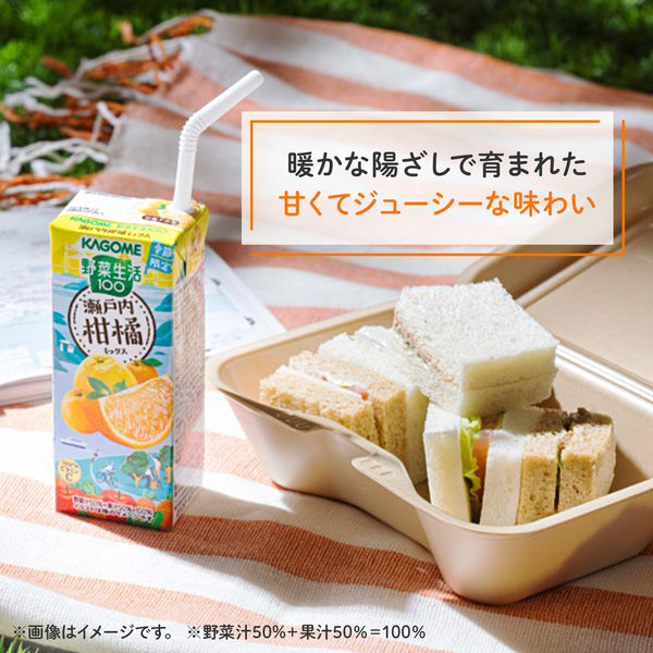 瀬戸田産　秀品デコポン　箱込み10㎏　珈琲まめ 特産品・加工品のご紹介 | あしきたブランド | JAあしきた