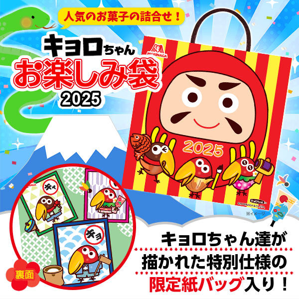 キョロちゃんお楽しみ袋 福袋2025 12袋 森永製菓 お菓子