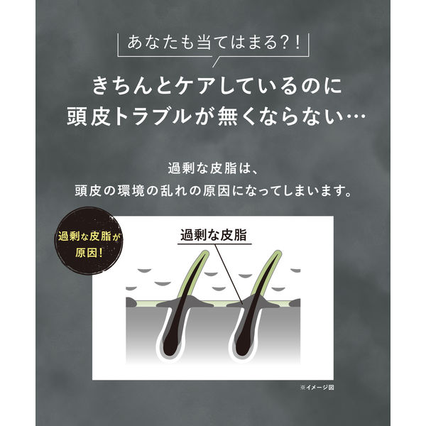 数量限定】WELLP（ウェルプ） 薬用スカルプケアトライアルセット