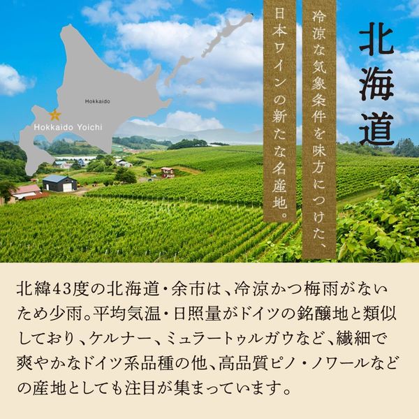 余市2本 グランポレール 余市ケルナー ＜遅摘み＞ 白ワイン やや甘口