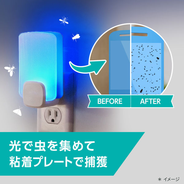 マックスステム ライトトラップ 付け替え用プレート 1箱（3個入