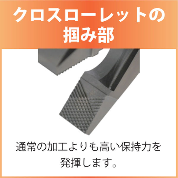フジ矢 偏芯パワーペンチ デカペン 3000TP-250 1丁（直送品