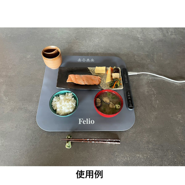新品未使用Felioフードウォーマー 食卓用フードウォーマー 大判タイプ Felio （ フェリオ 保温