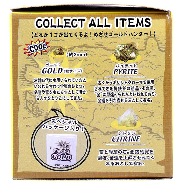 ノルコーポレーション 宝物発見シリーズ 黄金発見! 1セット TKZ