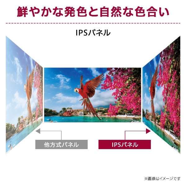 LG Electronics Japan 27インチ 4Kワイド液晶ディスプレイ(3840x2160
