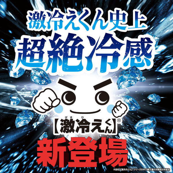 レック 激冷えくん ボディクールシート 鬼クールMAX C01294 1個（20枚